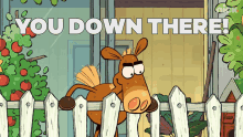 1667143007357.gif