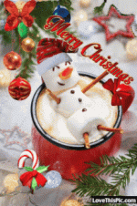 1671996949207.gif