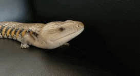 1699502294746.gif