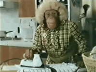 1719236213492.gif