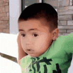 1728823430994.gif