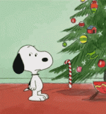 1735136470664.gif