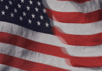 IMG_7423.gif IMG_7423.gif