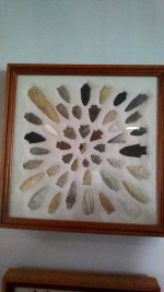 Tar River finds.jpg