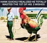 IMG_1932.jpeg