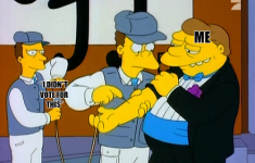 Veins.png