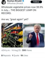 1755222065232.jpeg