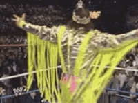 IMG_6391.gif