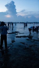 Screenshot_20260411_123155_DuckDuckGo.jpg