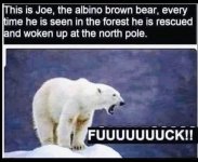 IMG_8758.jpeg